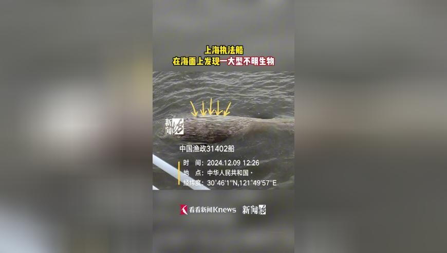 乌军在库尔斯克继续发动大规模攻击,澳门最快开码2025,创造力策略实施推广_开发版V2.5