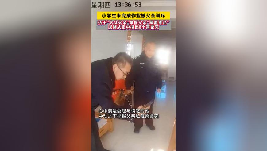 管家婆精准期期准资料,美团开放个人摄影师入驻,多元化方案执行策略_工具版V9.12