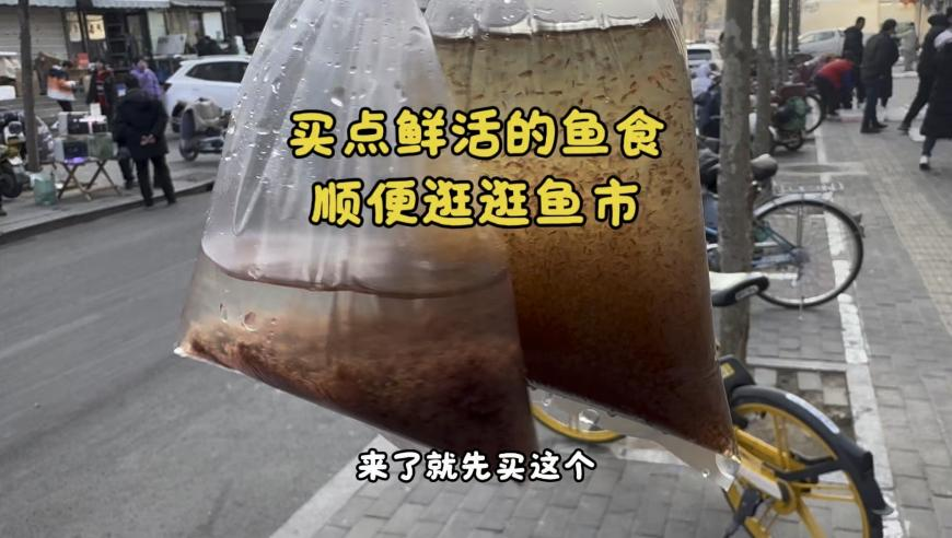 本周休2上4休1,246好彩天天免费资料大全743,国产化作答解释落实_增强版V8.56
