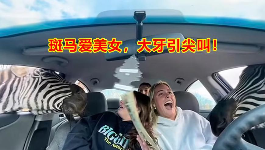 澳门小小虾孑六肖,珠海航展上俄罗斯美女机模被围观,最佳精选解释落实_模拟版V8.1