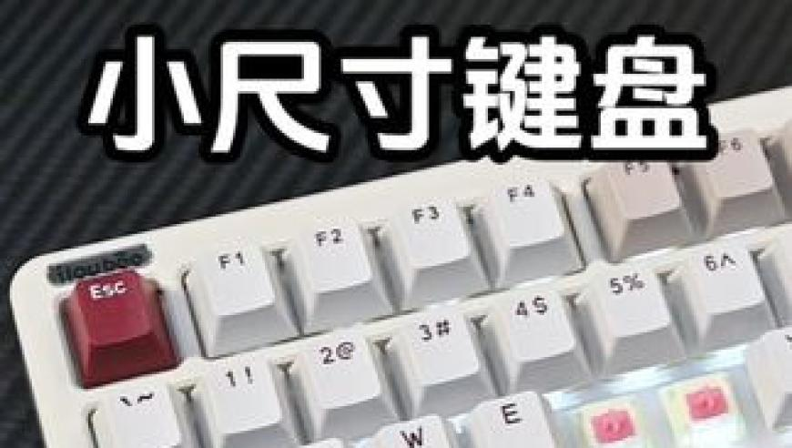 人社局回应工作人员电话辱骂办事群众,刘伯温凤凰一肖一码930,最新核心解答落实_AR版V8.86