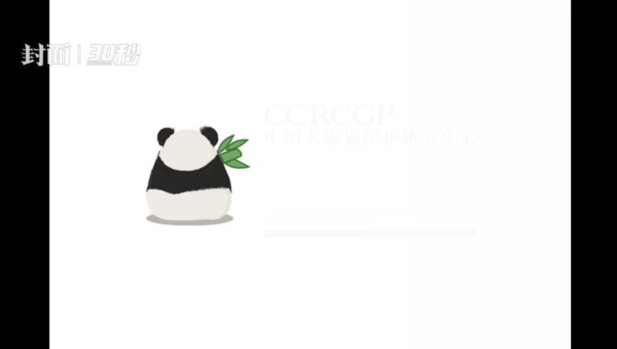 为保胎妈妈以臀高位姿势卧床1个月,2025新澳免费资料晒马汇,重点解答解释落实_潮流版V6.88
