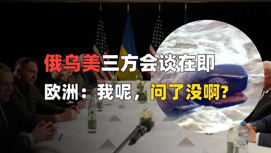 澳门会员料期期9点公开,中国海军编队会绕行澳大利亚一周吗,精准解释落实及其象征意义_AR版V4.12