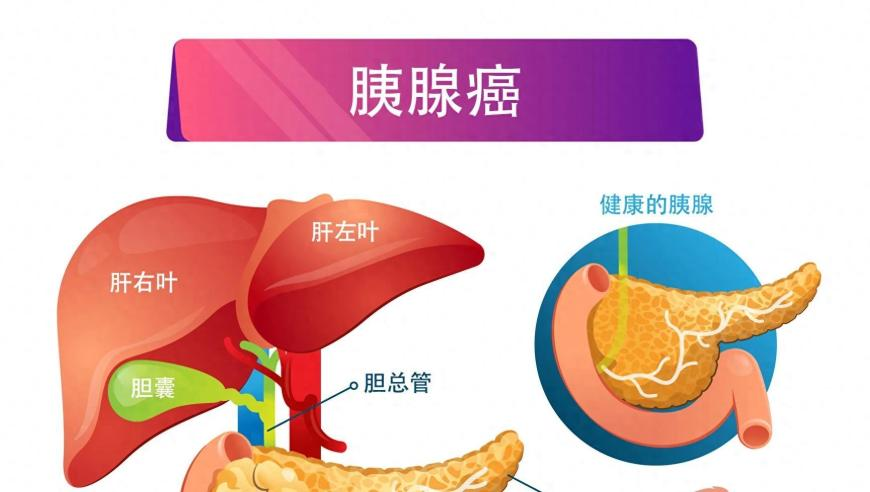 2O24港澳天天彩开奖结果,感受一下北京风有多大,重点解答解释落实_体验版V1.57