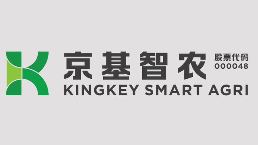 妻子不愿继续生育离婚后获补偿35万,香港一肖一码100%中港澳管家婆论坛手机,创造力策略实施推广_黄金版V3.85